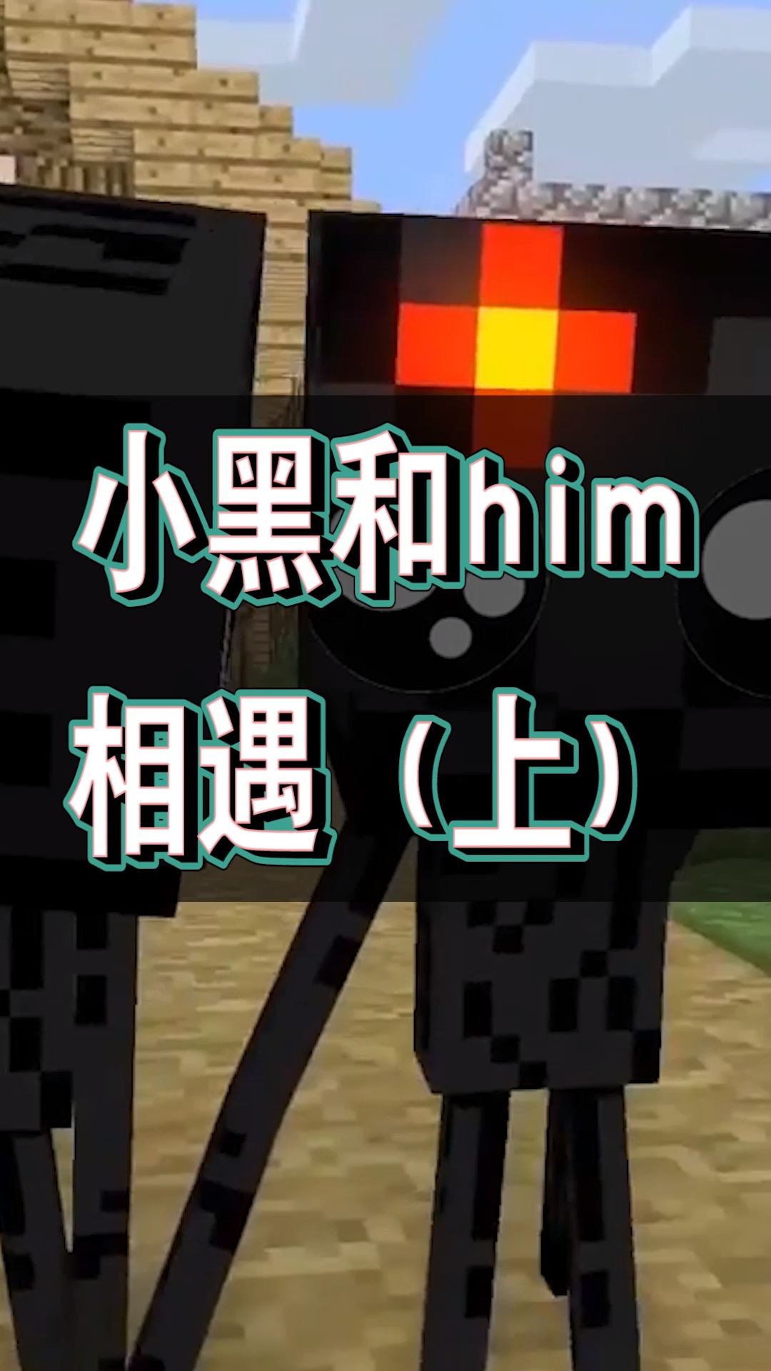 我的世界小黑和him的相遇上