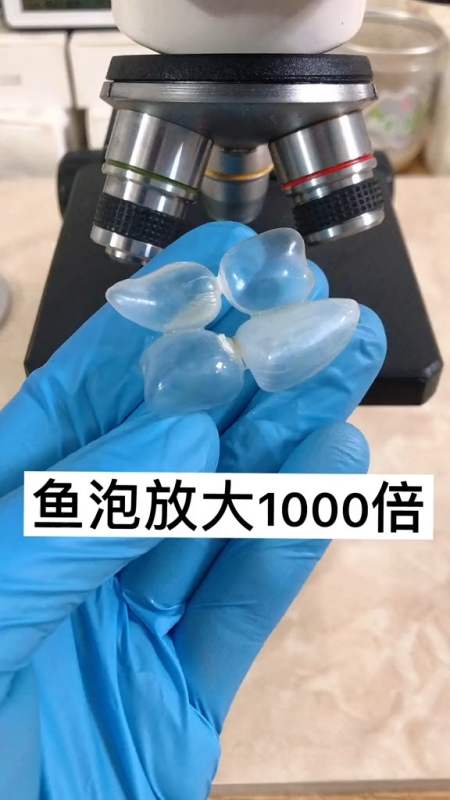 鱼泡你们都吃过,放大后的你见过吗?