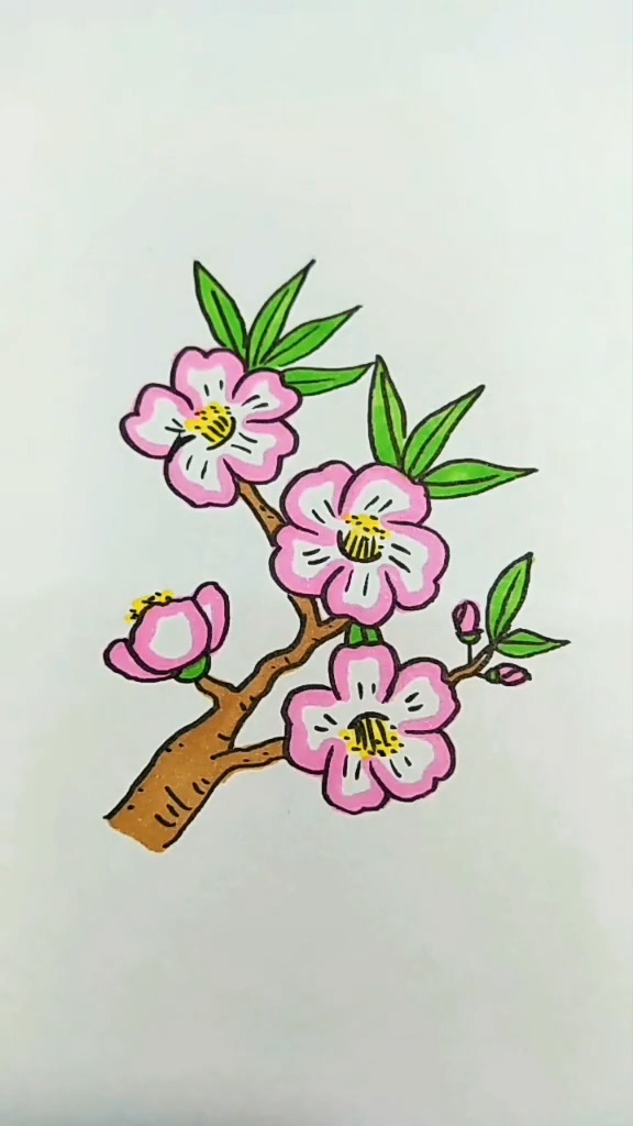 桃树开花简笔画图片