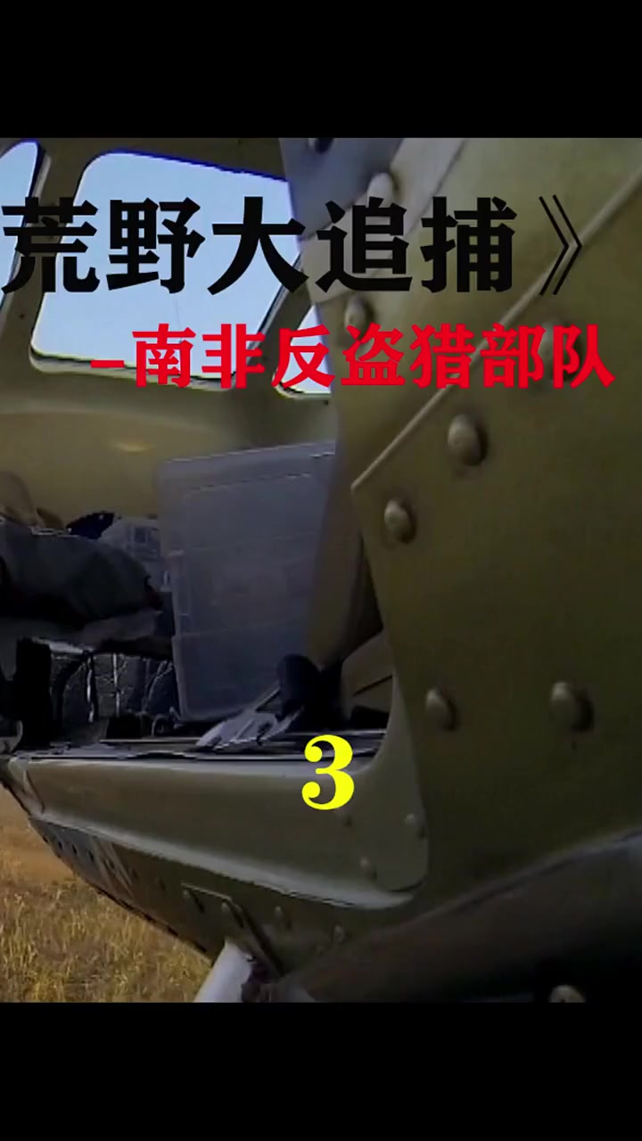 我要上热门#荒野大追捕:直面狮子,逃避追捕