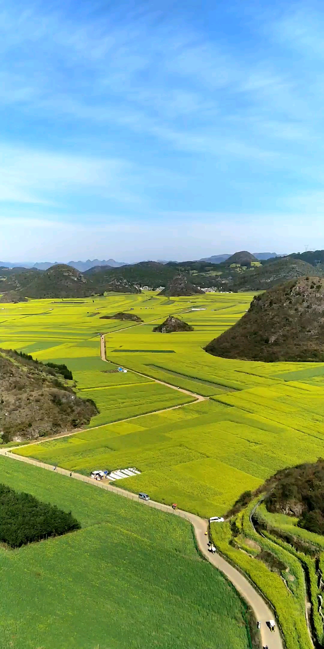 云南罗平金鸡峰油菜花美