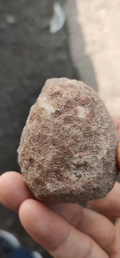 天然指甲纹战国红玛瑙原石奇石手把件