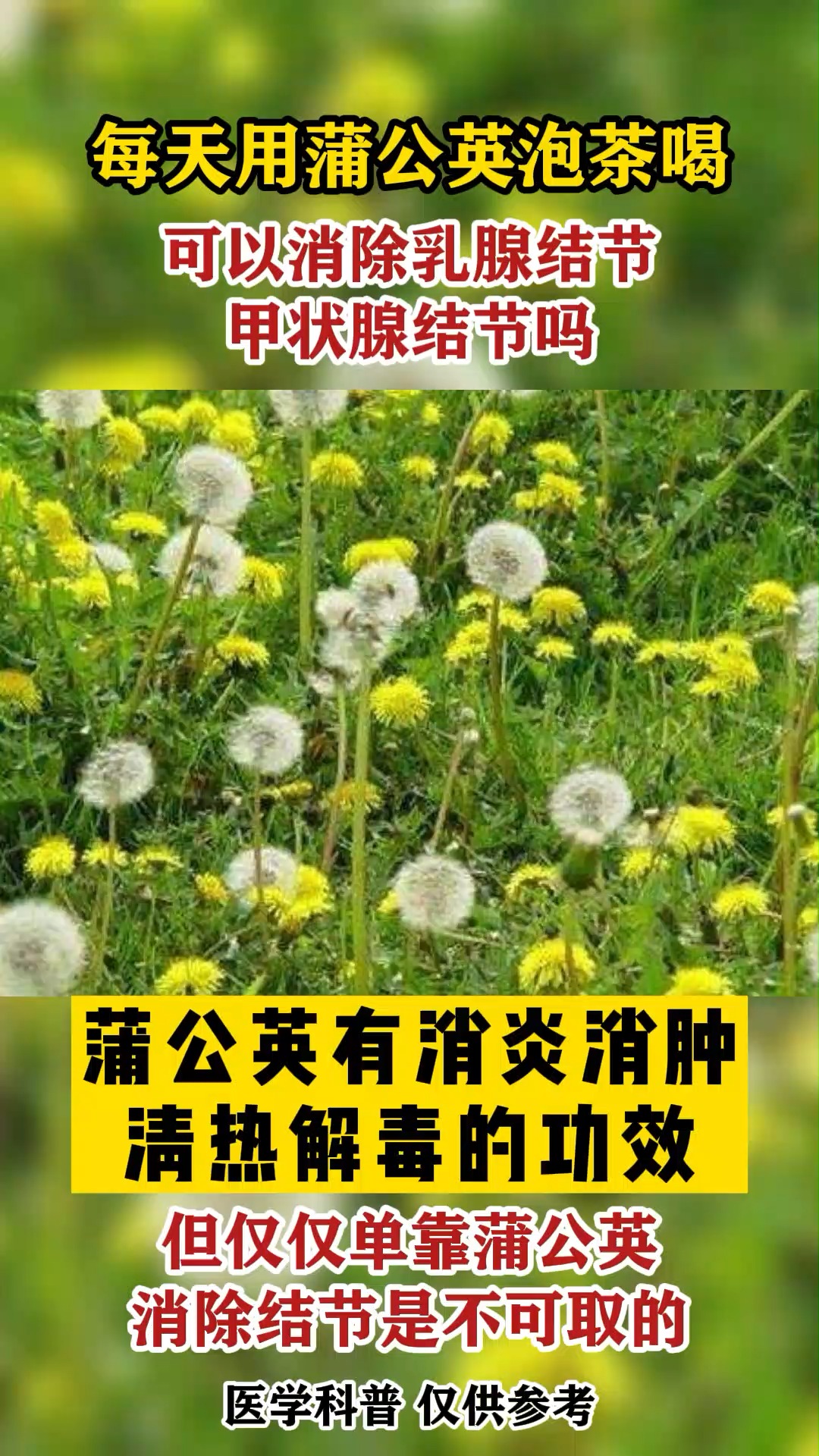 甲狀腺蒲公英每天泡水喝可以消甲狀腺結節嗎