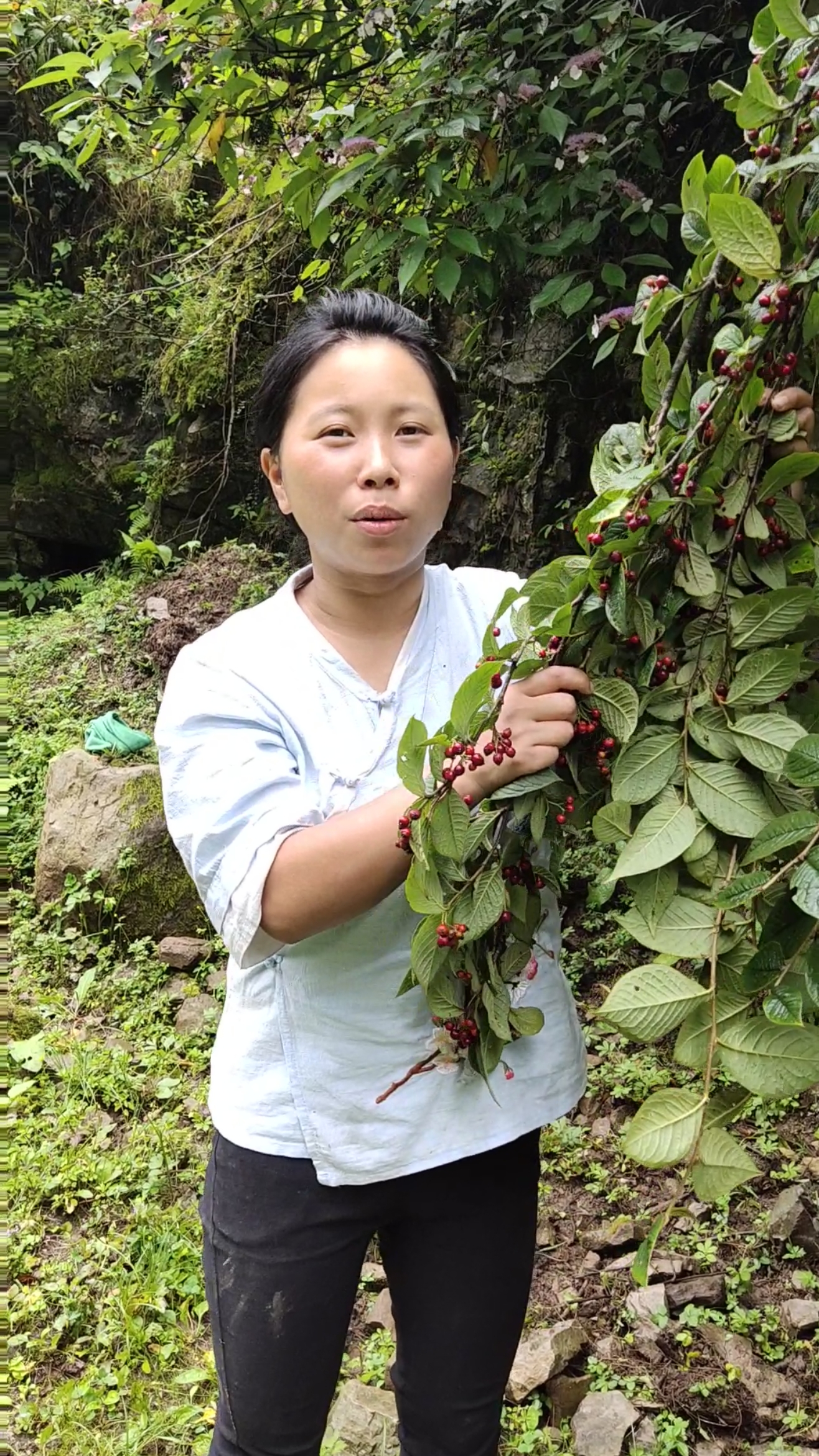 农村#山里大叶荀子结果了
