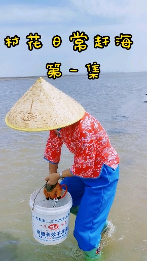 村花日常赶海第一集