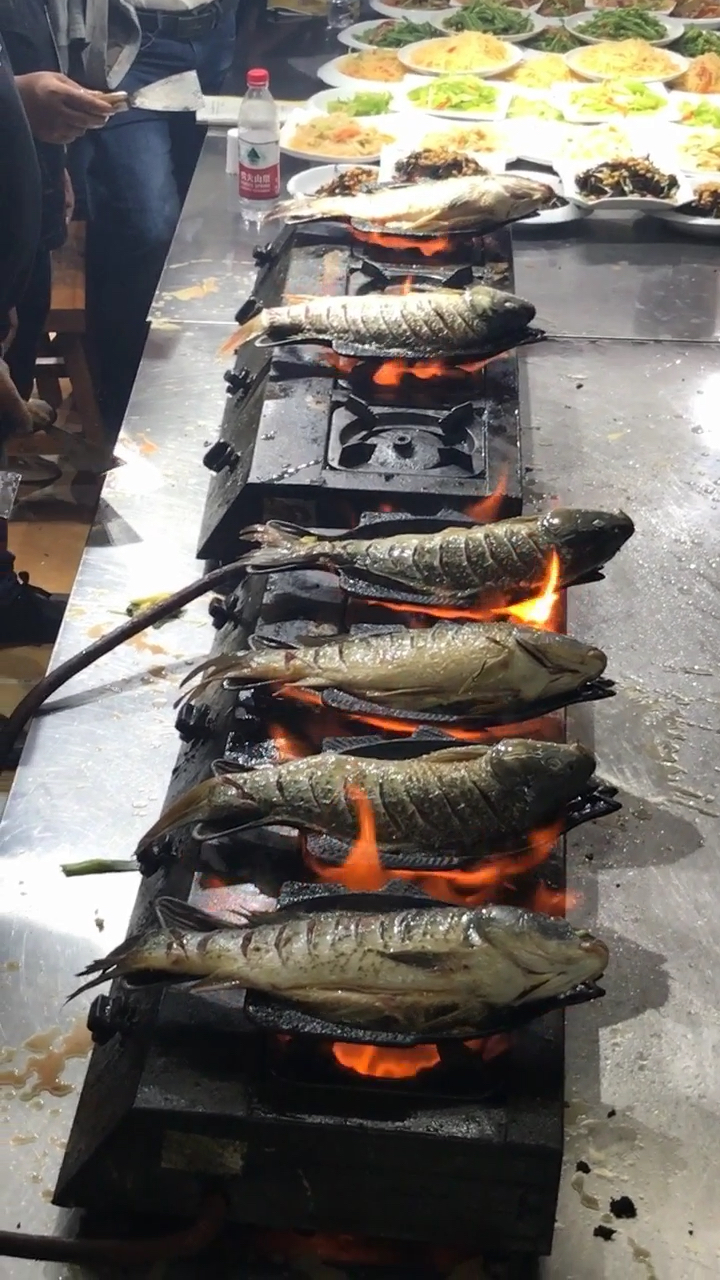 大吉大利,晚上吃铁板煎鱼?