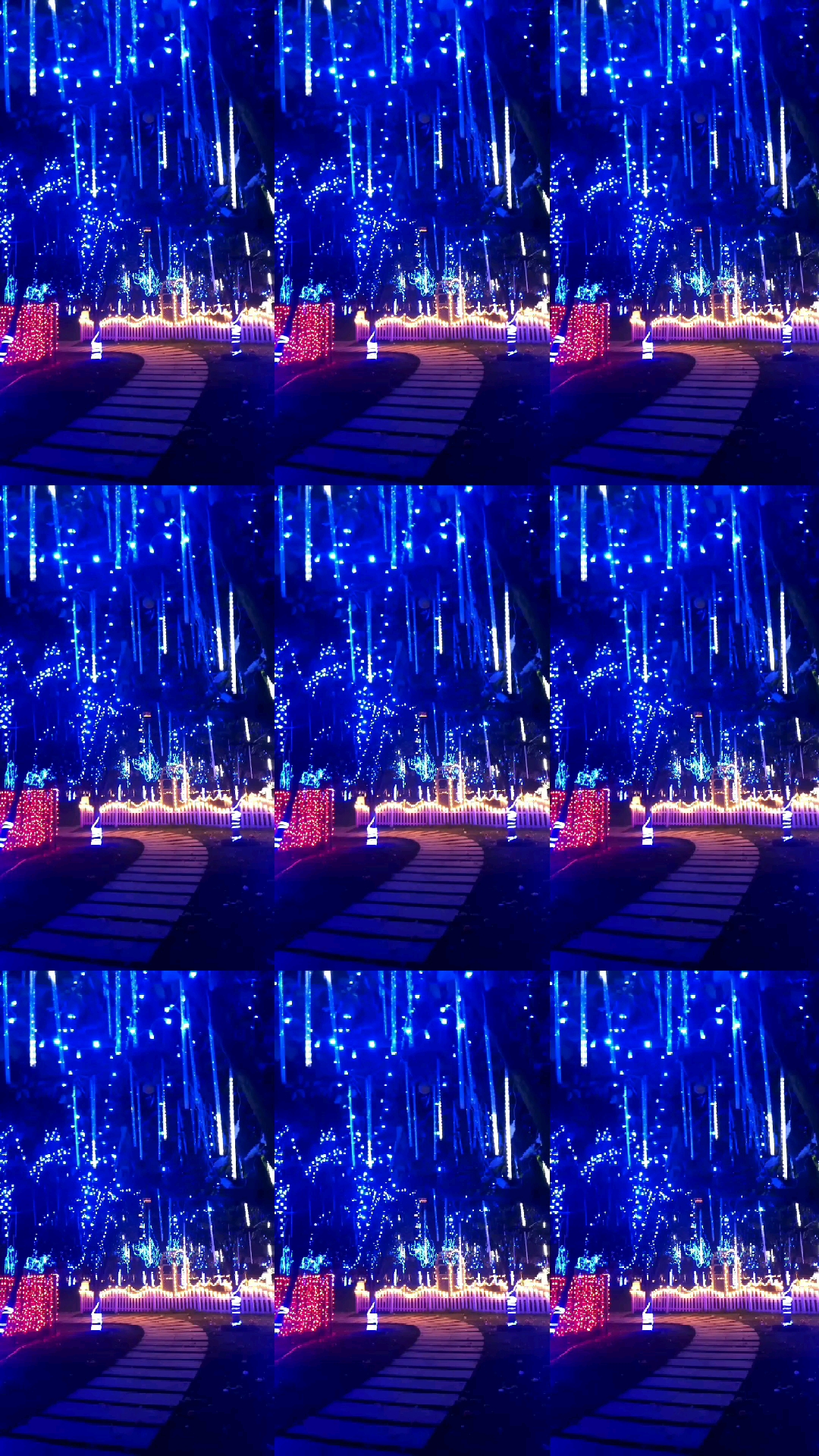 漫天花雨醉人眼