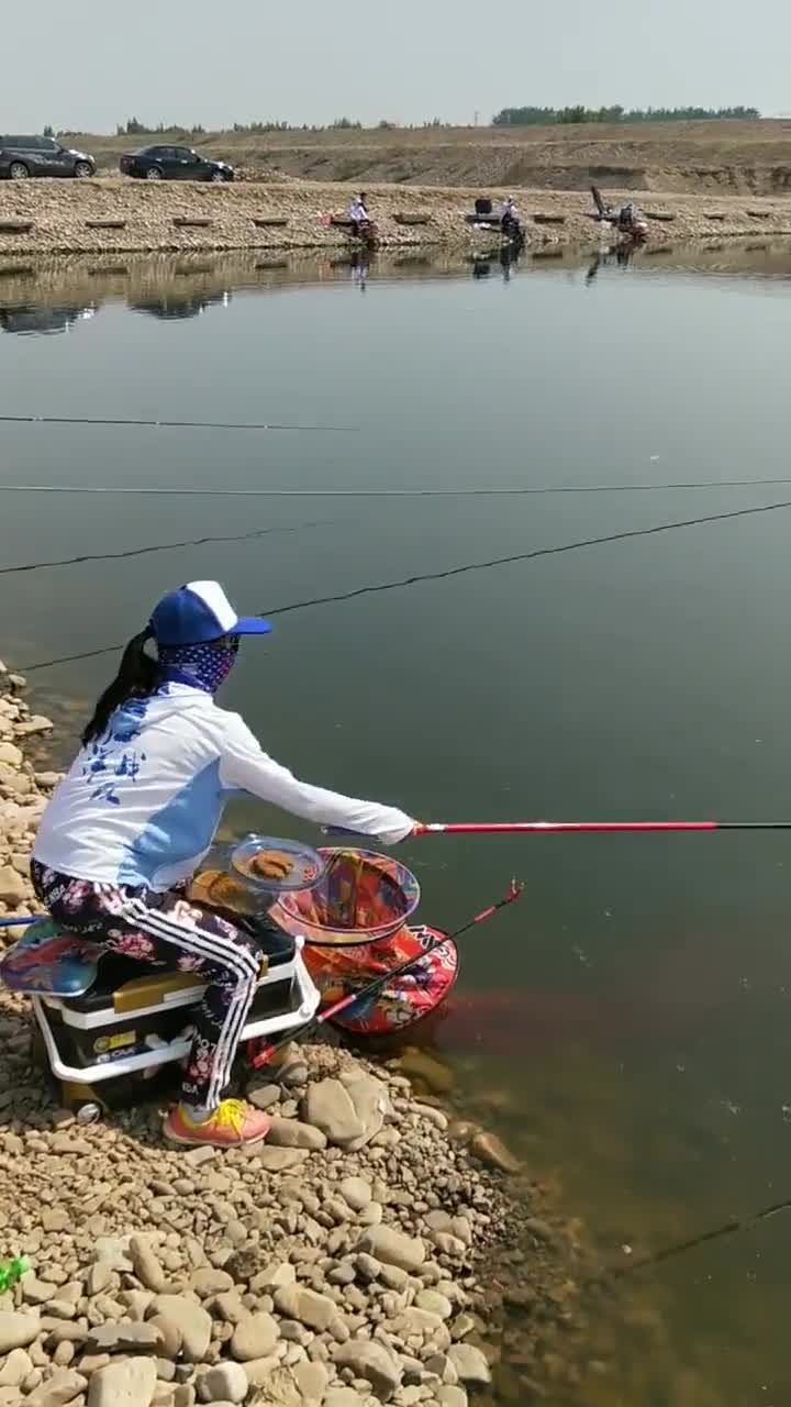 黑坑唯一女钓手不但长得漂亮而且技术好谁还有心思钓鱼