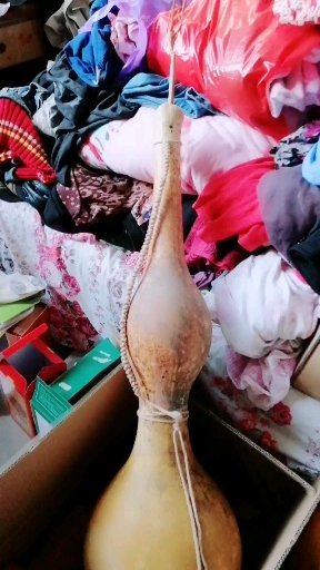 一米多的巨型大葫芦