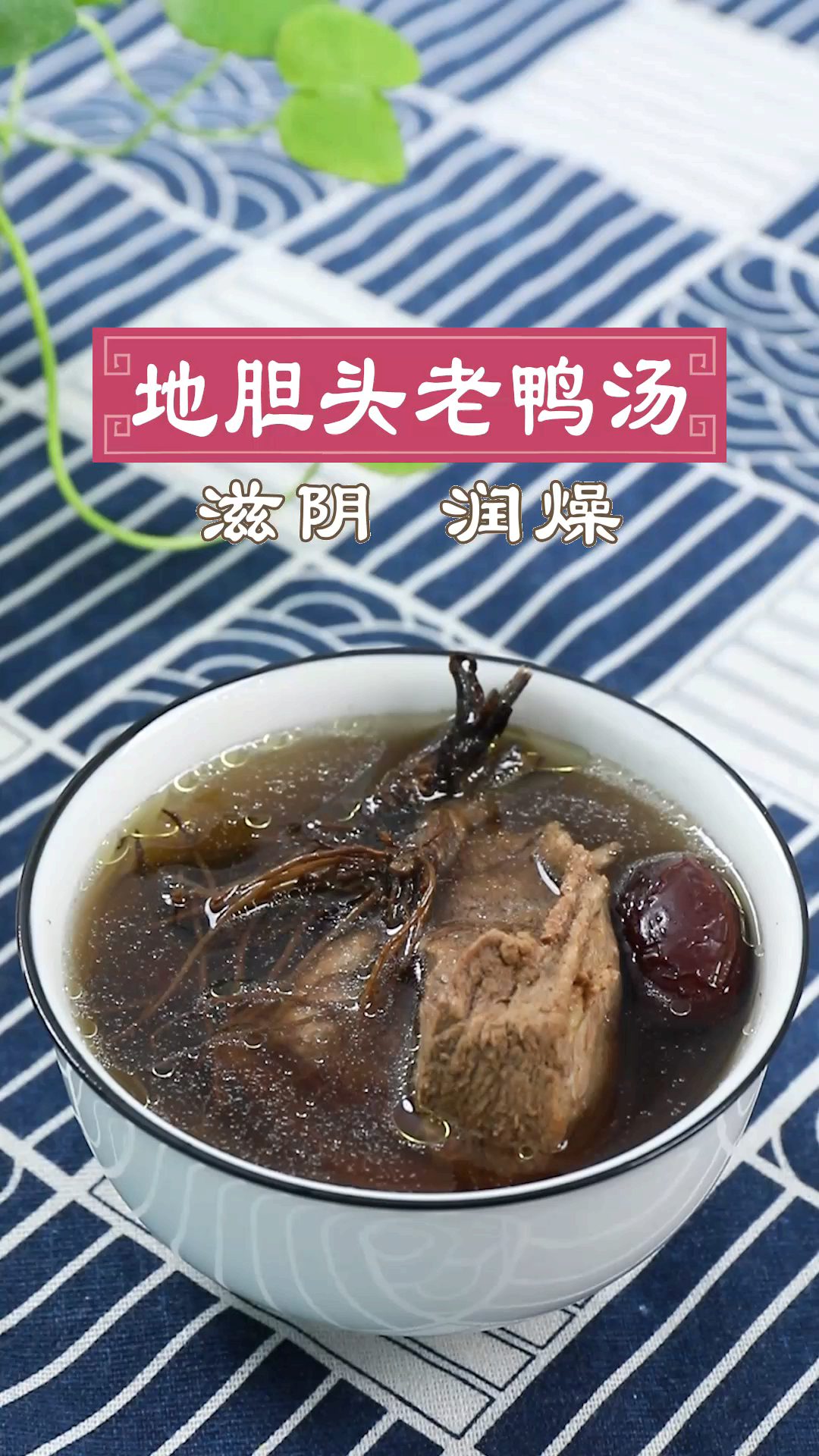 试试地胆头老鸭汤吧-度小视