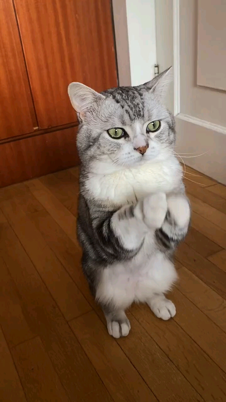 懒懒的拜拜#星人