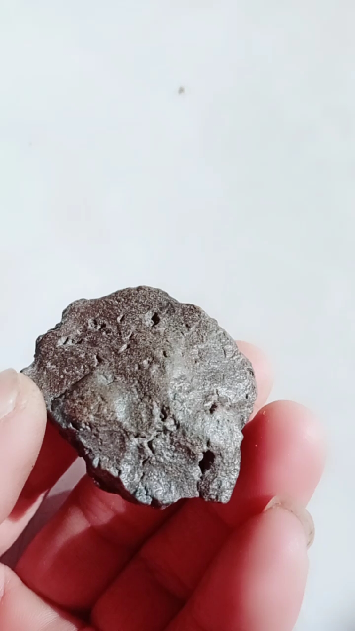 精美无磁石陨,本人作品里有切面,系同一星座.