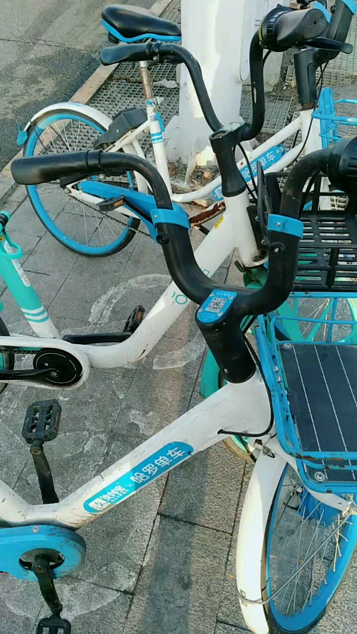 带上全民去旅行#小单车