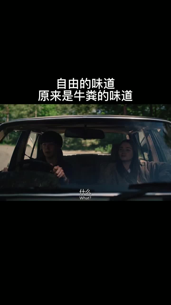 自由的味道原来是牛粪的味道