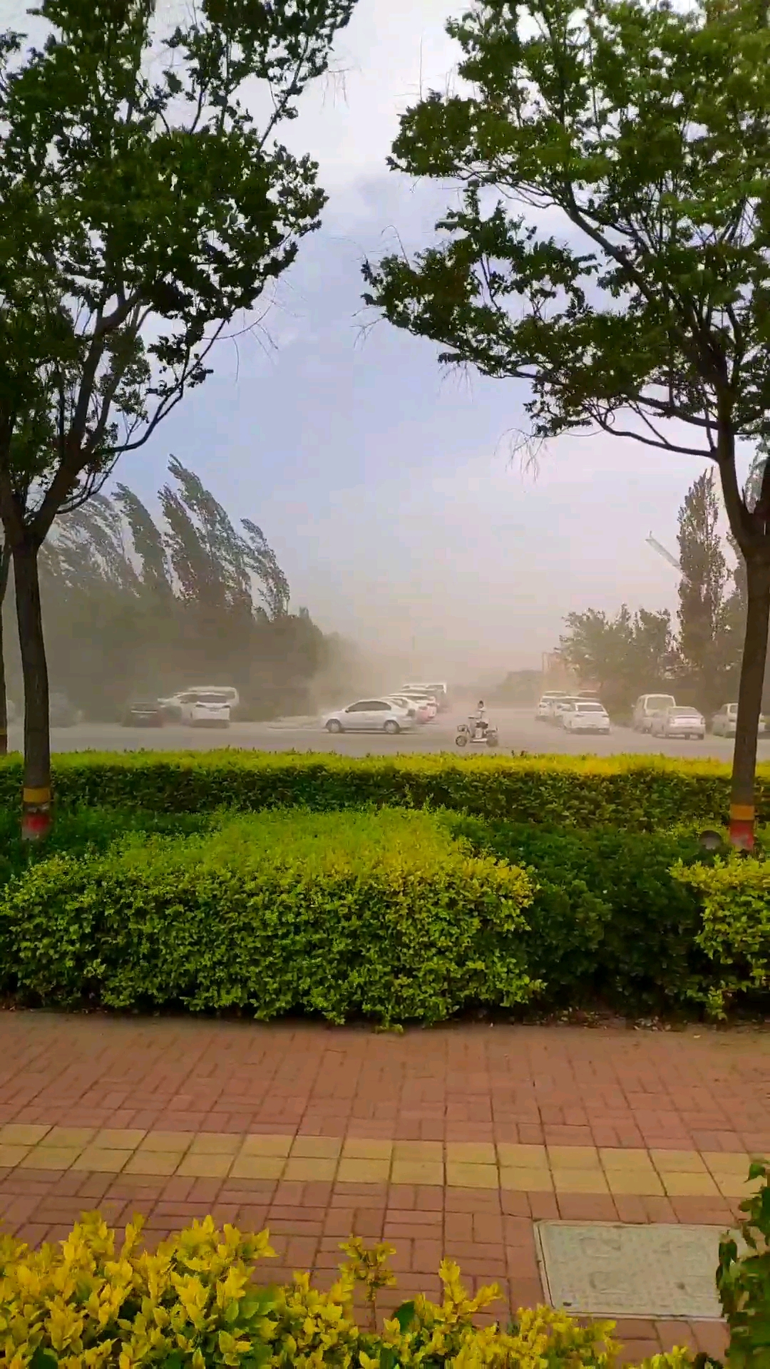 石家庄的沙尘天气