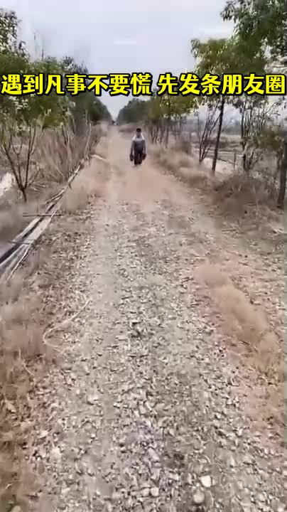 遇到凡事不要慌先发条朋友圈
