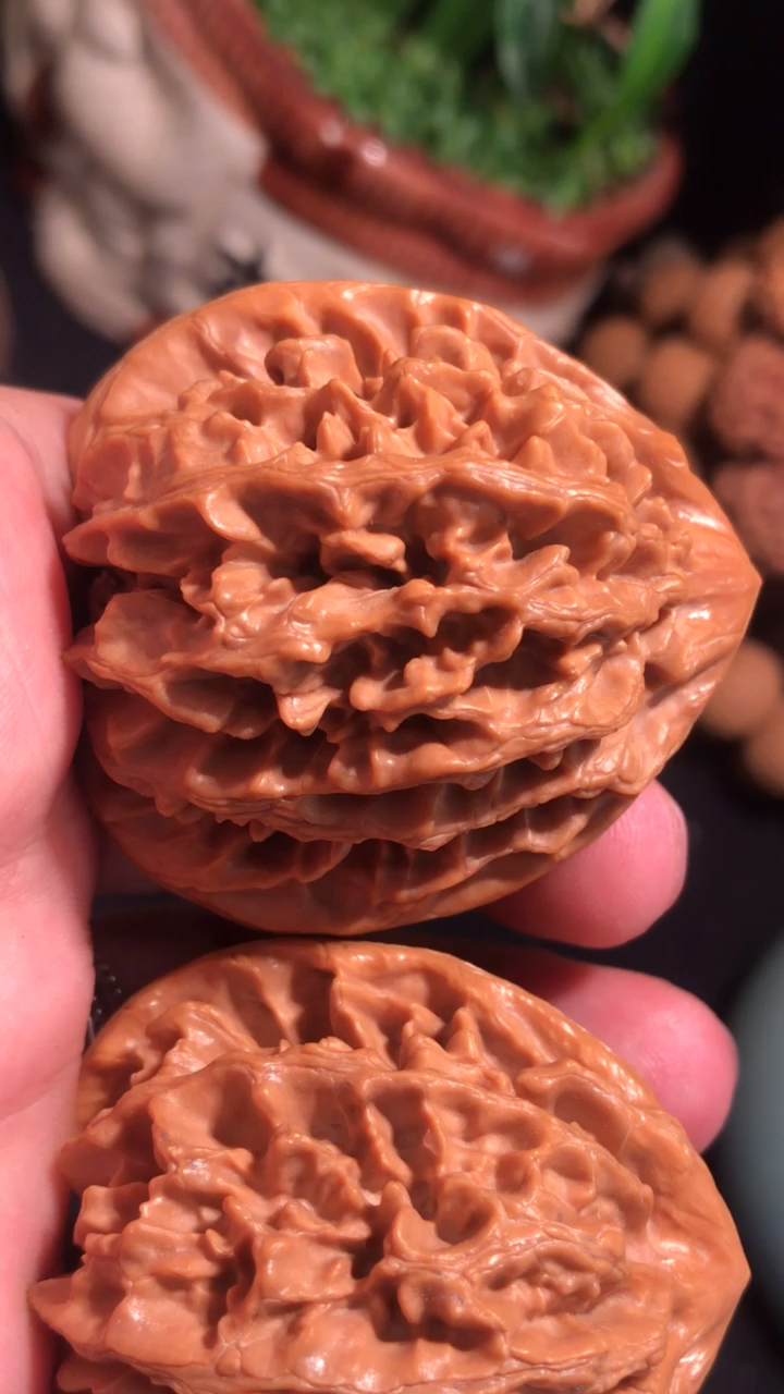 文玩核桃#清理好的一对文玩核桃,此品种叫状元冠狮子头,份量巨沉!