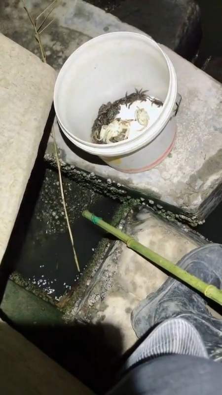大晚上钓龙虾 就这么不给面子吗