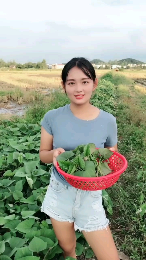 有喜欢农村女孩儿的吗