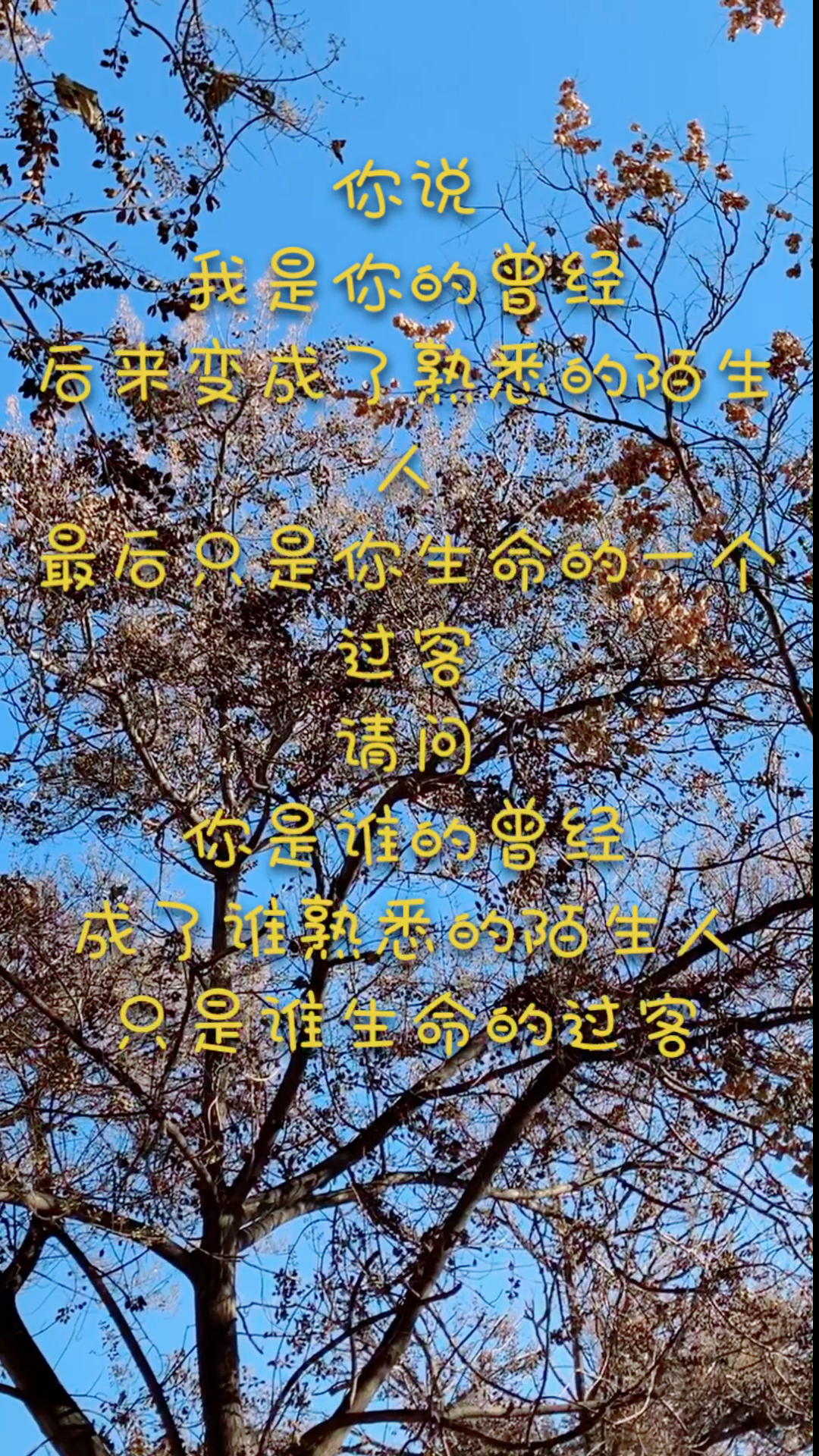 音为有你#最后只是你生命的过客