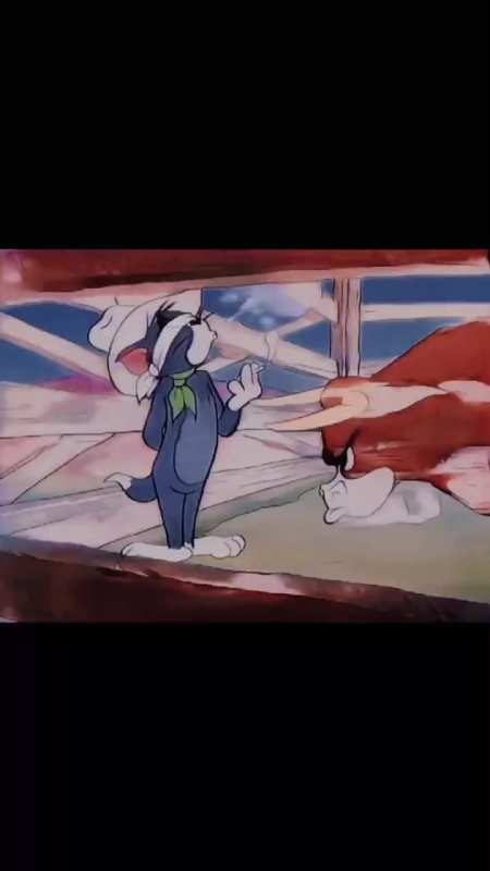 汤姆是个大暖男#临危不惧的汤姆-度小视
