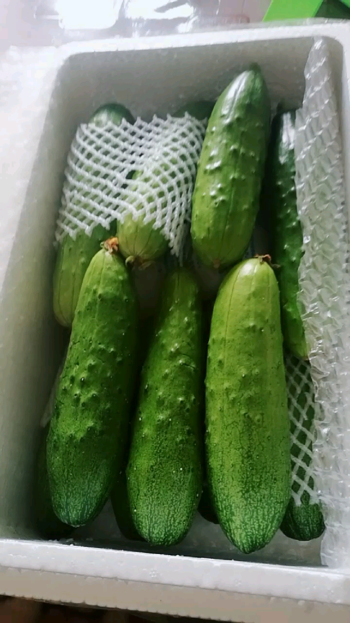 网购的东北旱黄瓜,特别好,完美的一次购物.