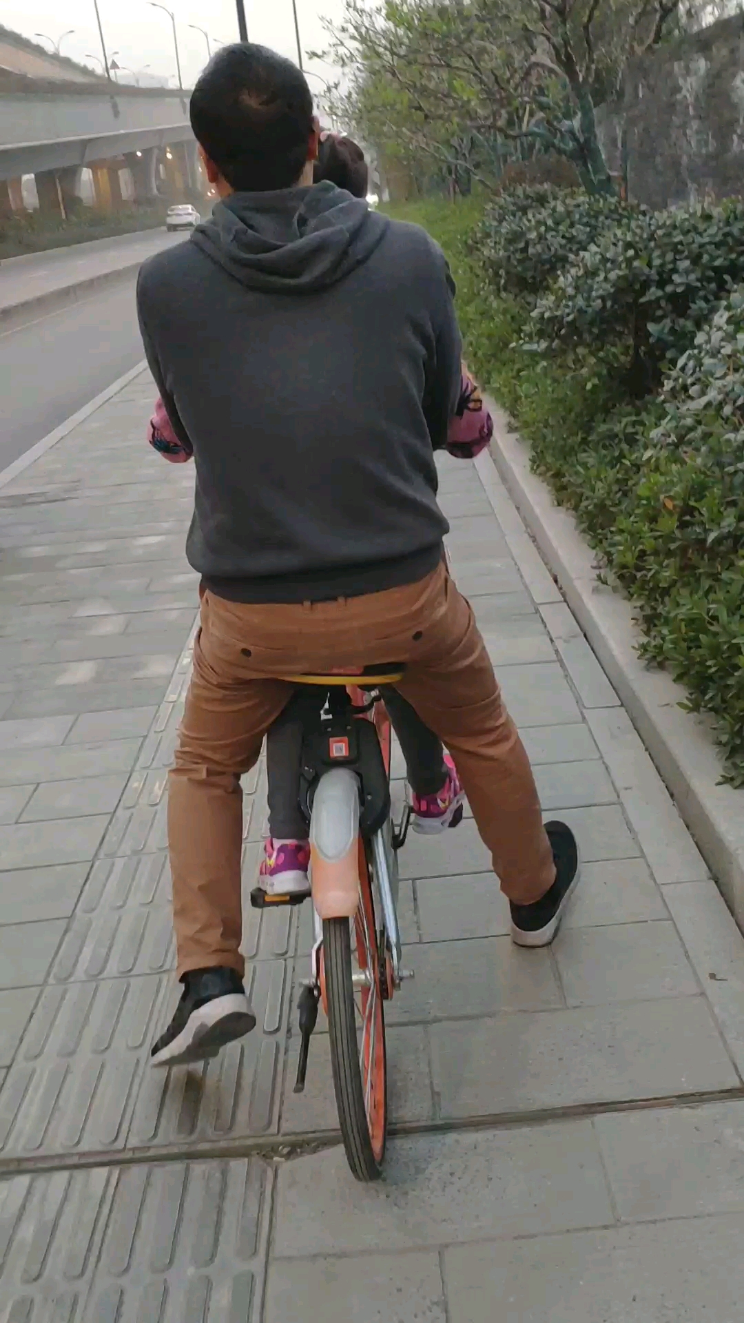 小马拉大车!哈哈