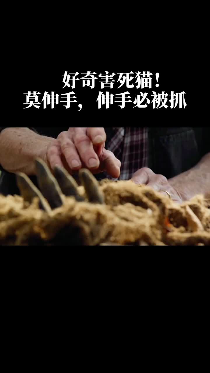 看到神秘的手莫伸手伸手必备抓