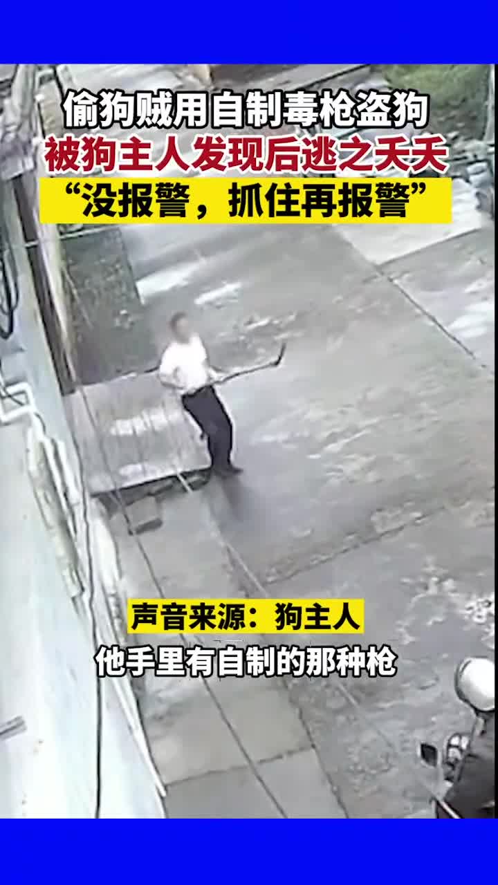 偷狗贼用自制毒枪盗狗,被狗主人发现后逃之夭夭,狗主人:没报警,想等