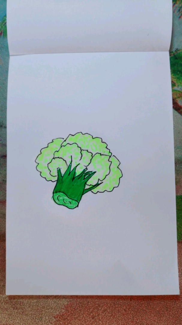 花椰菜 简笔画图片