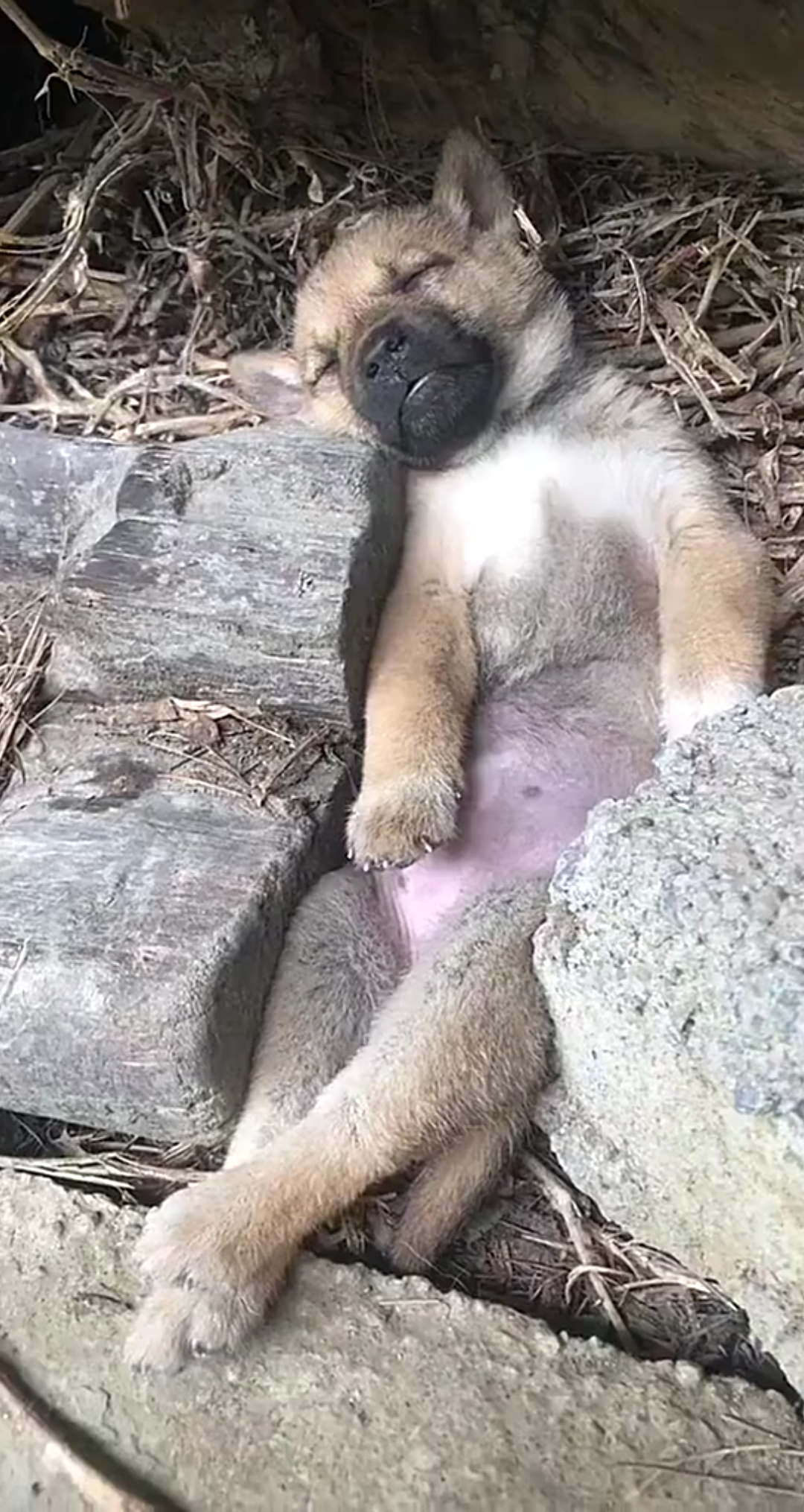 太累了,倒头就睡