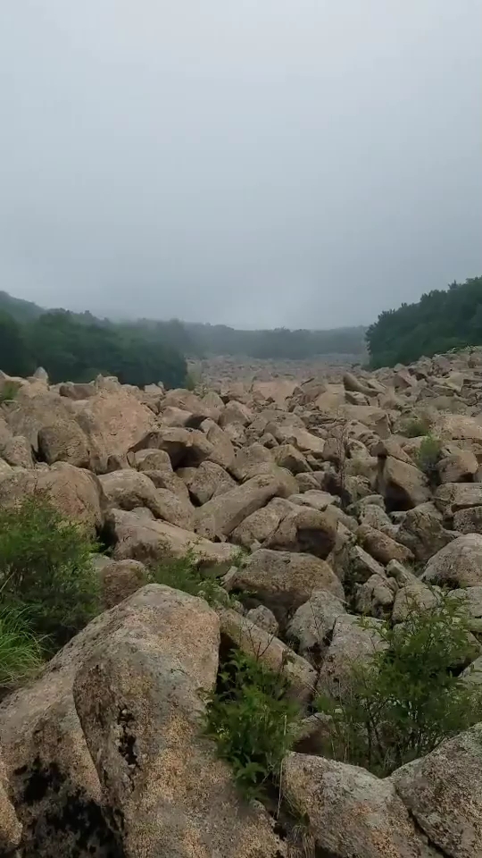 石海听涛