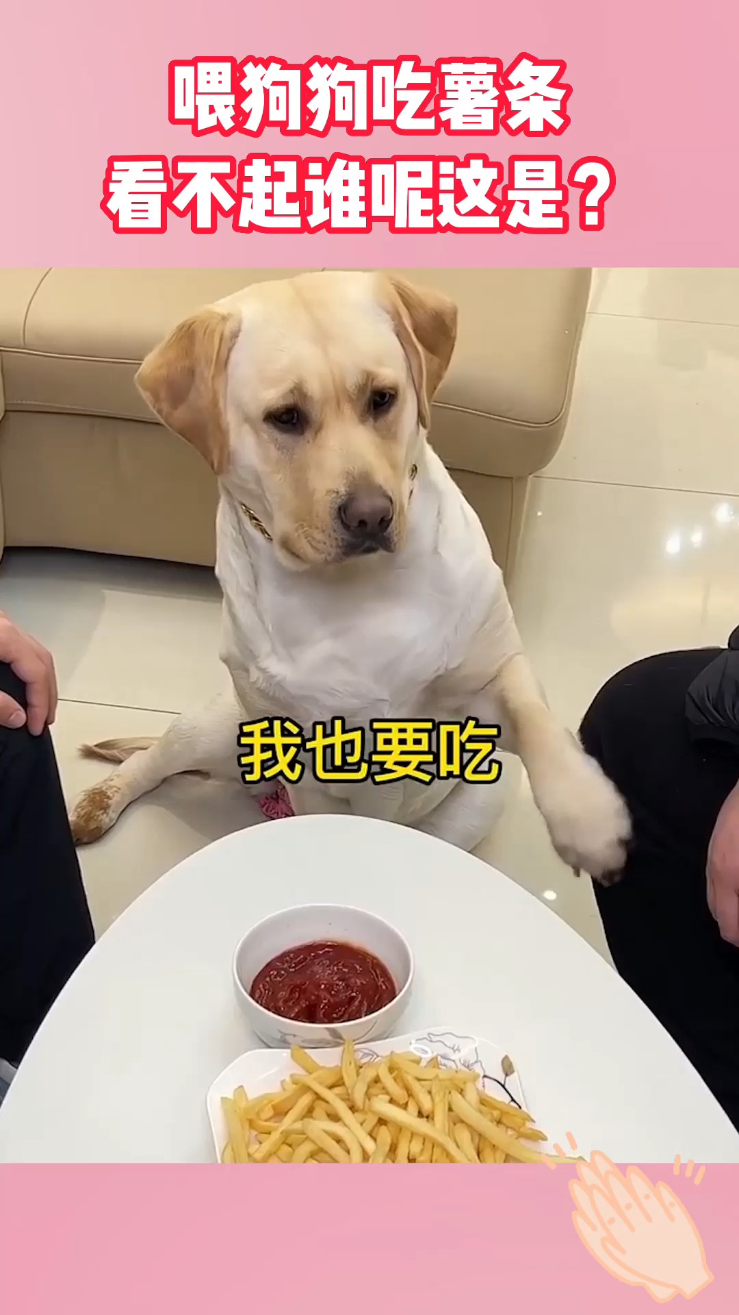 搞笑段子#喂狗狗吃薯条,看不起谁呢这是?被把我当狗