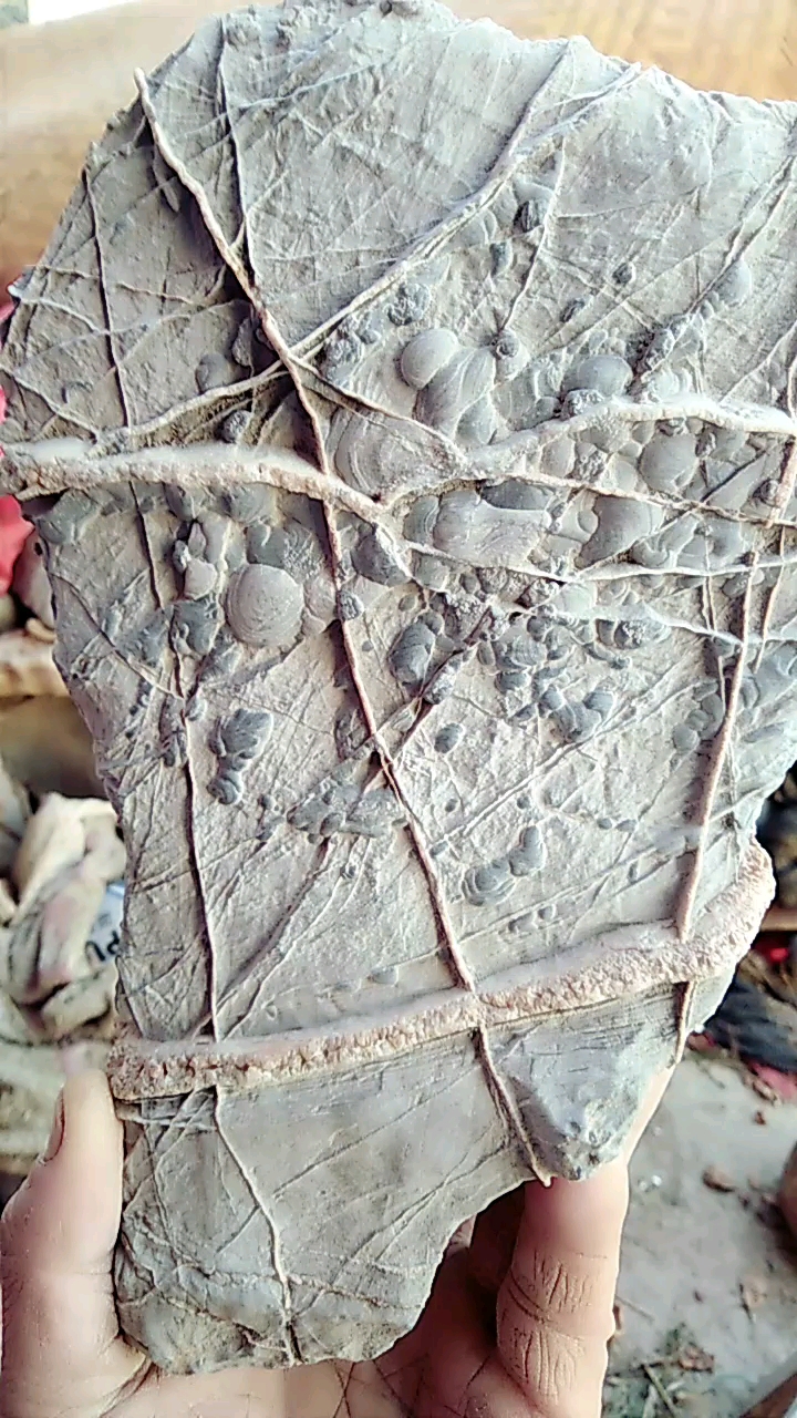 灵璧珍珠石原石