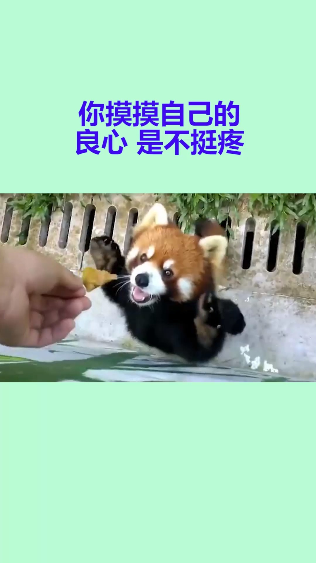 我要上热门#你摸摸自己良心 是不挺疼