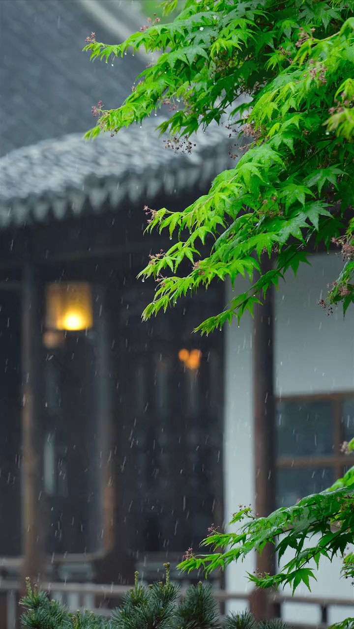 窗外下雨的照片图片