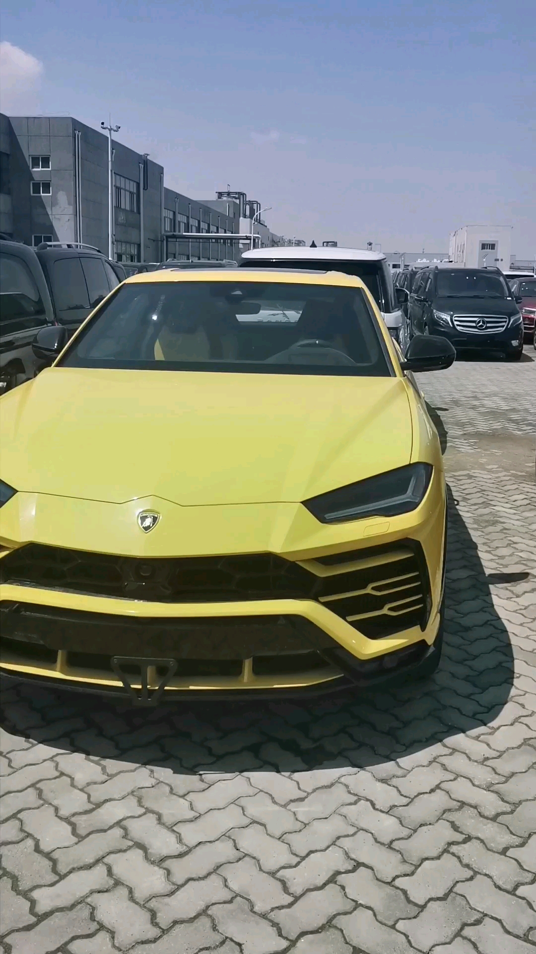 小黄牛现车一辆