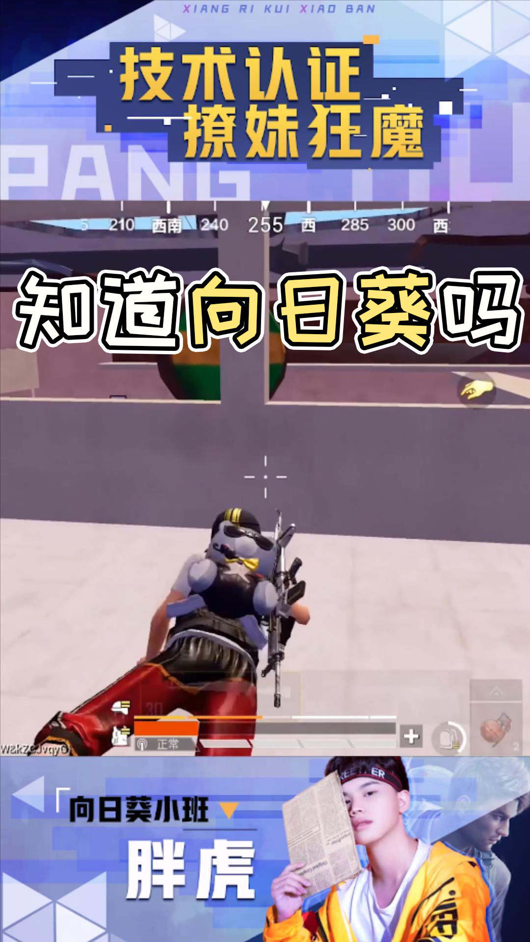 和平精英#竟然有人不粉向日葵,胖虎直接大义灭亲