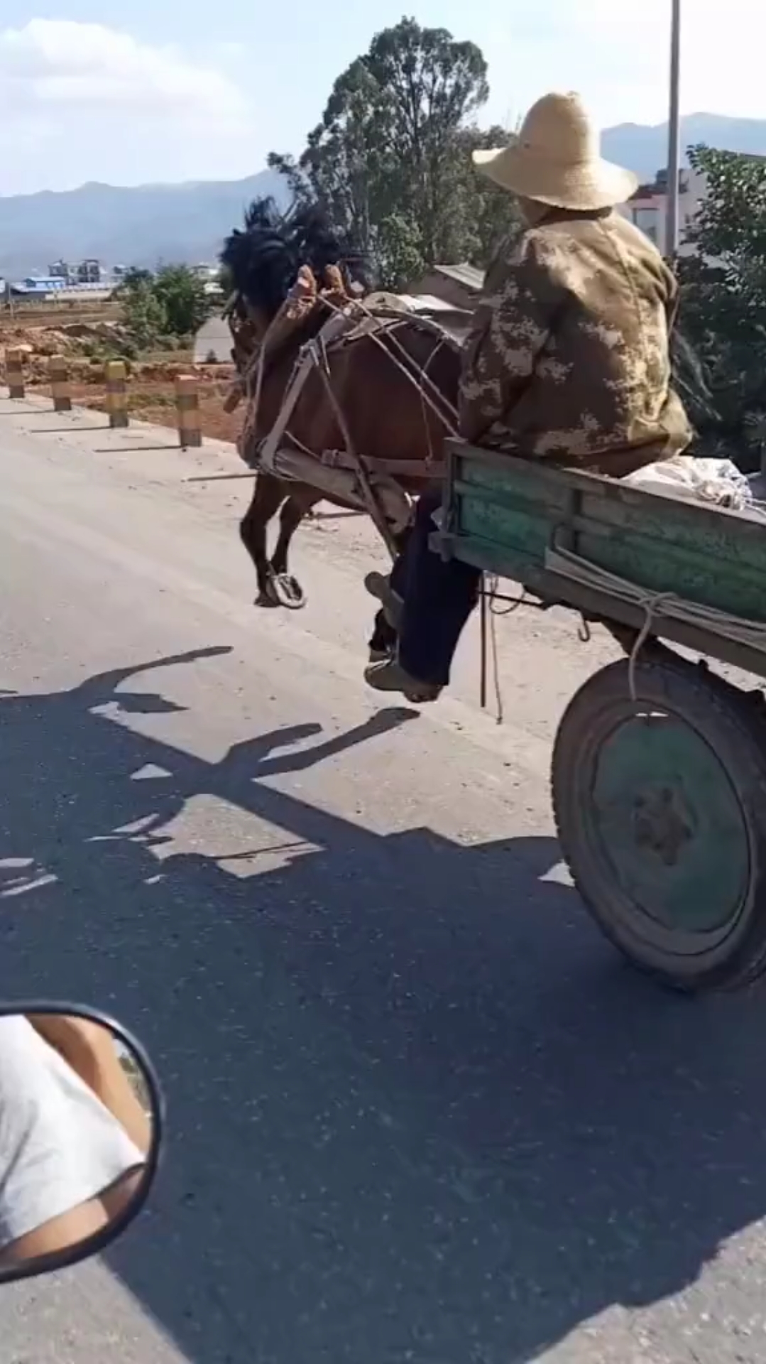 路过的朋友,你开过奔驰,宝马.你赶过马车吗?