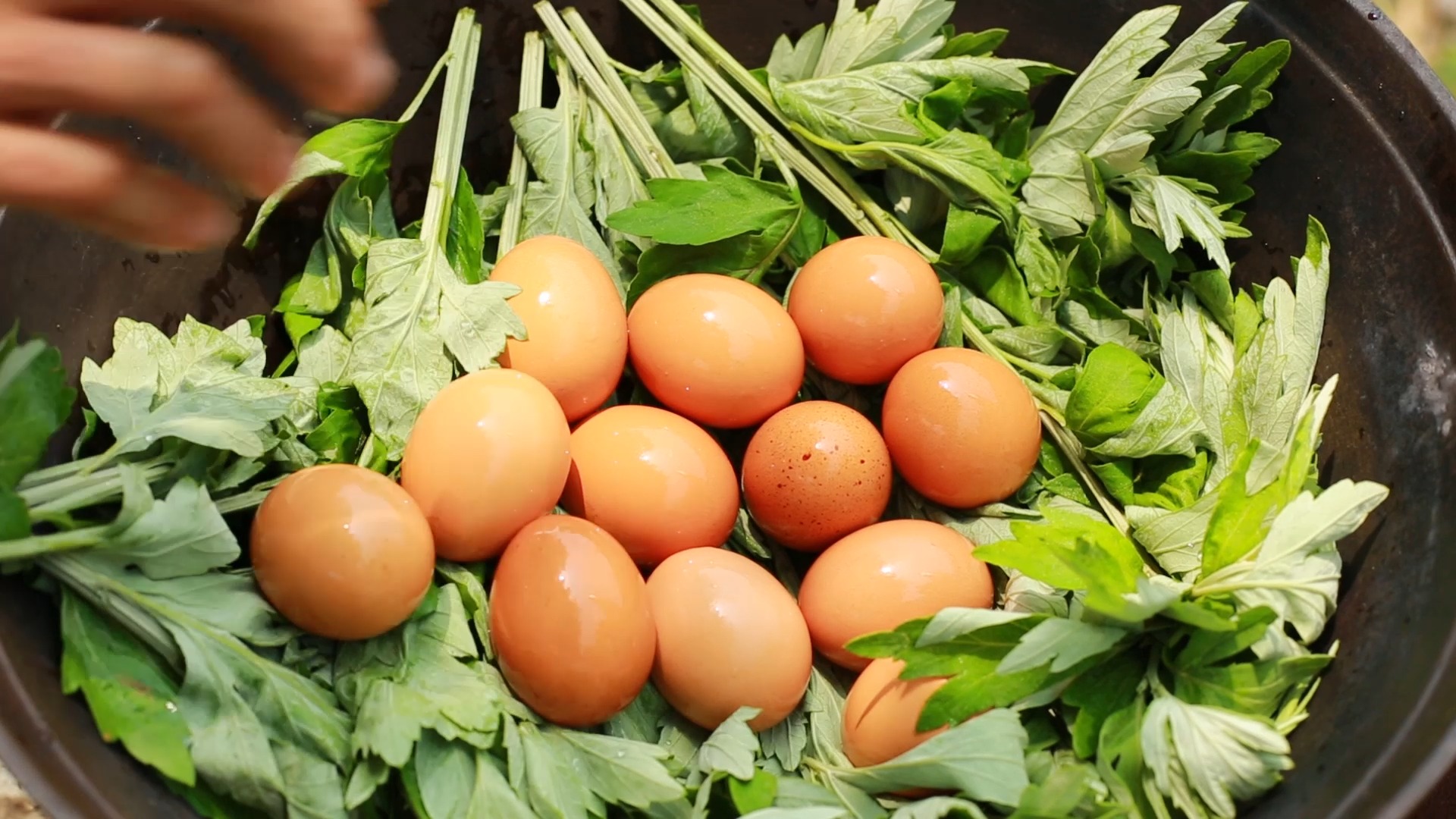 美食#王思聪都爱吃的艾叶蛋,祛湿驱寒,老少皆宜!