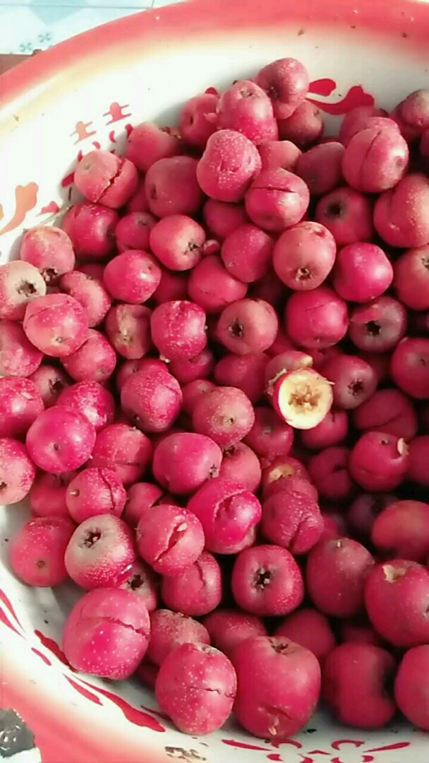 酸溜溜的山楂果