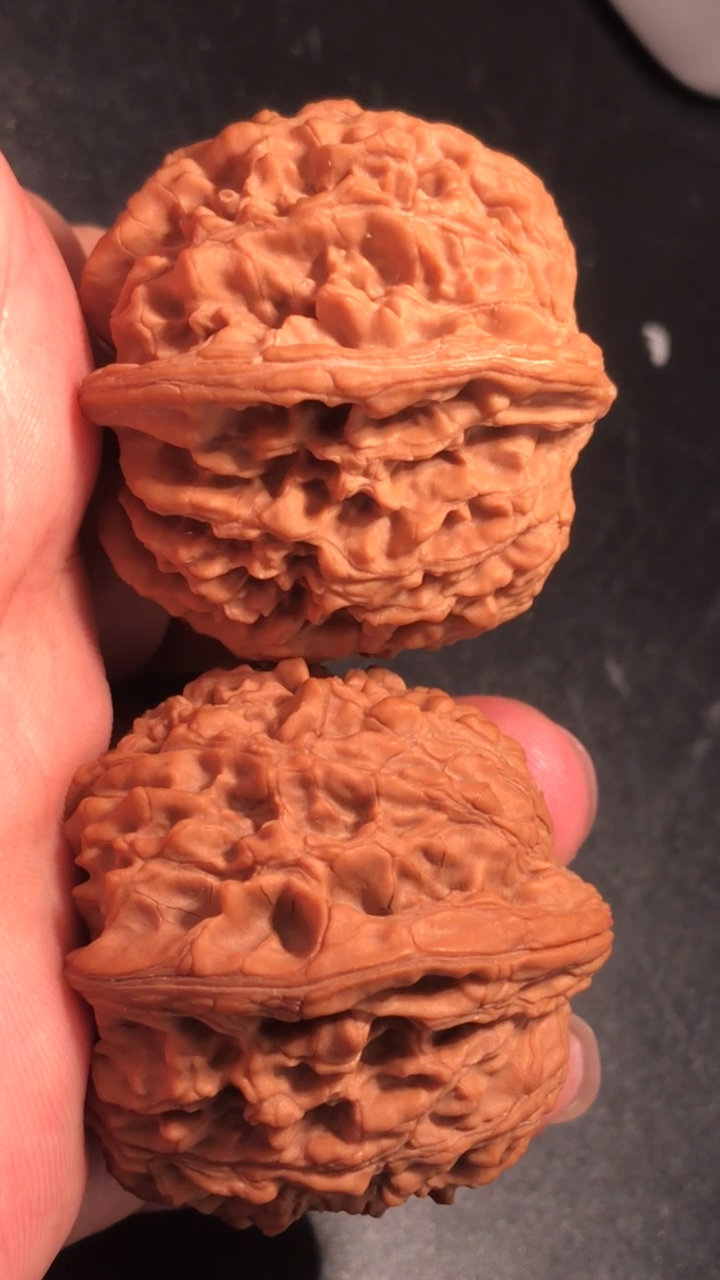 百花山狮子头,骨质特别好