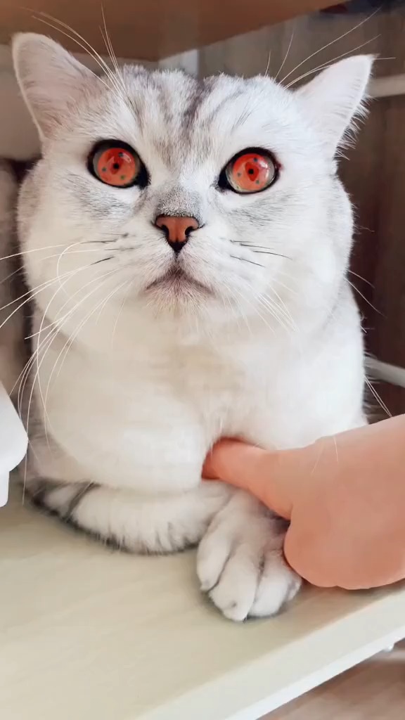 搞笑视频#麻麻尽力了!给你弄一双酷酷的写轮眼