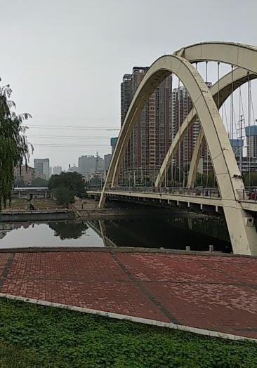 平顶山印象#诚朴路湛河桥
