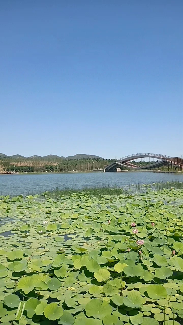 龙泉湖湿地.