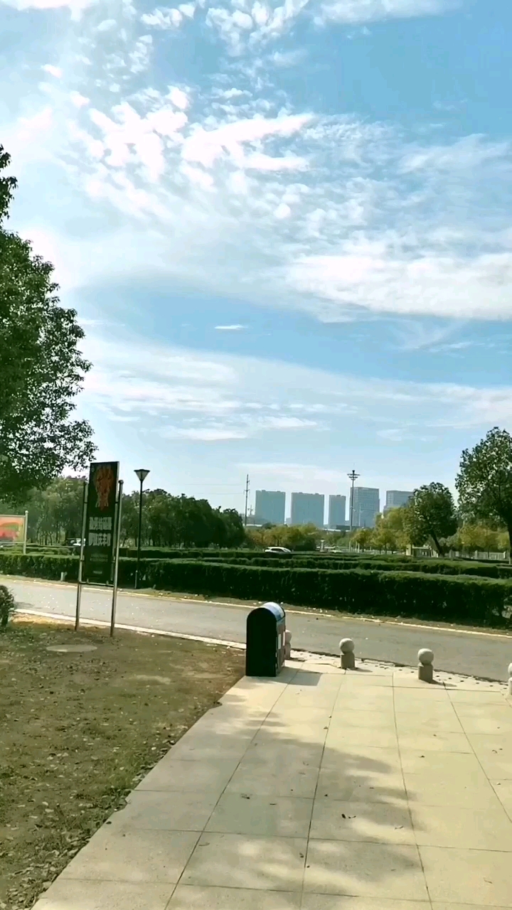 美景加音乐#放眼望去,一片大好的风光