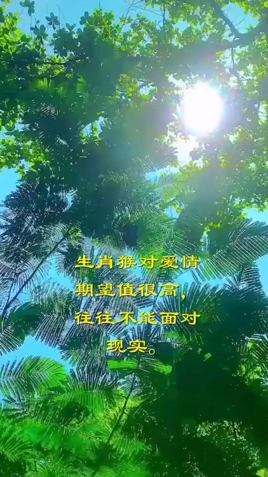 生肖猴爱情软肋是脱离现实,期望太高