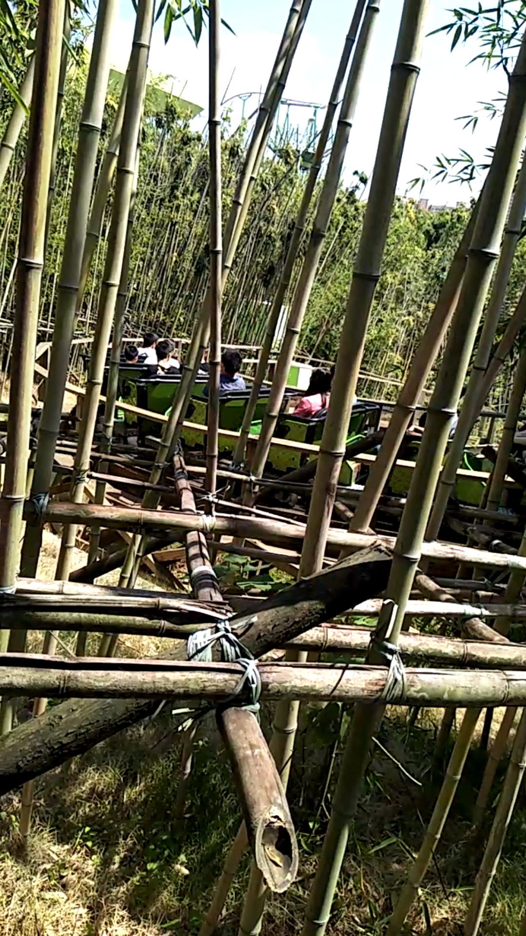 竹林绿蟒,45块钱一张票,速度达到99.9公里每小时,超刺激的快感体检!