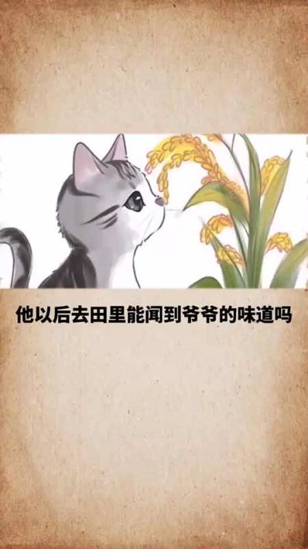 袁花花和袁爷爷图片