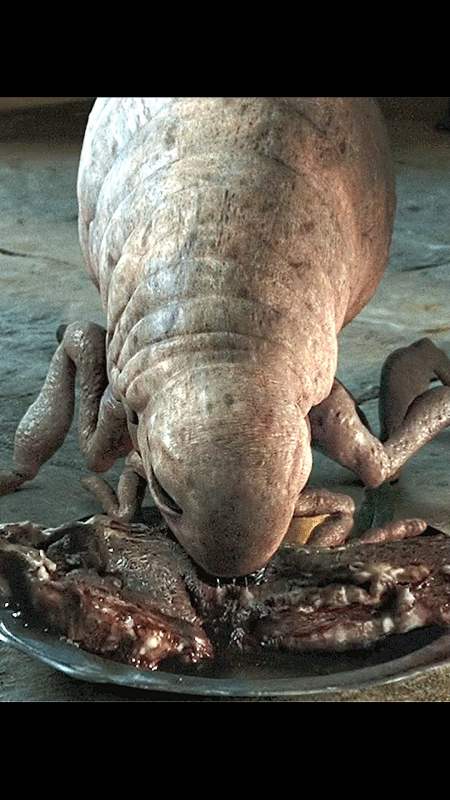 电影解说#国王把一只跳蚤养到了小牛那么大,结果跳蚤得了三高